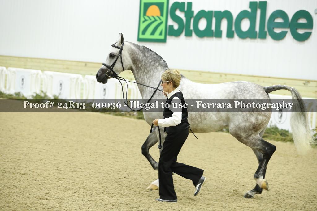 Proof 24R13_00036
