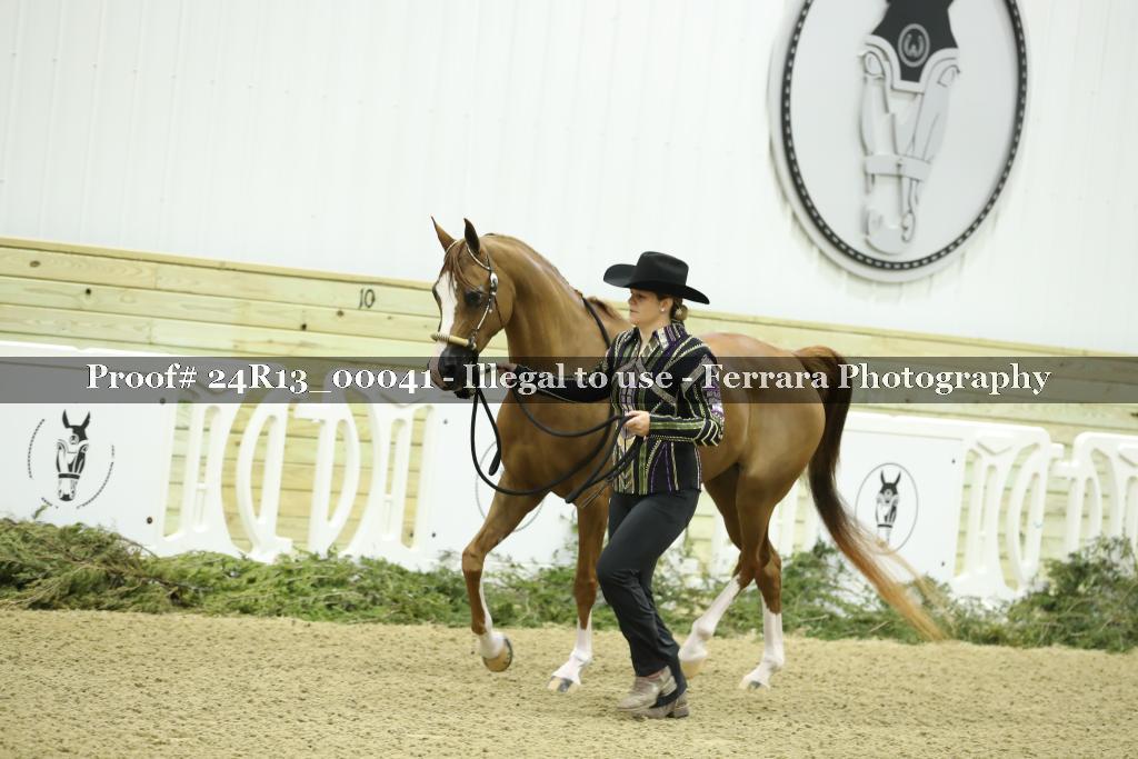 Proof 24R13_00041