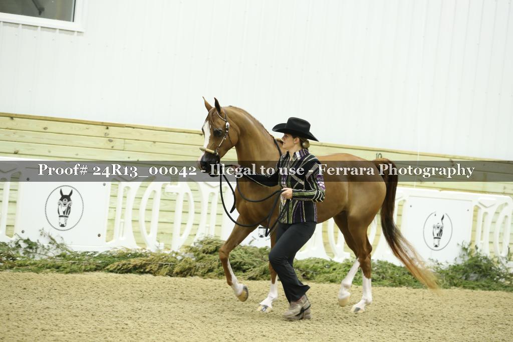 Proof 24R13_00042