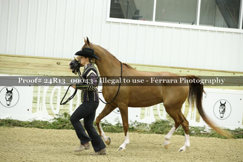Proof 24R13_00043