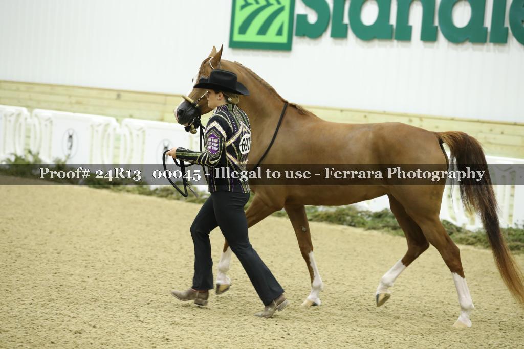 Proof 24R13_00045