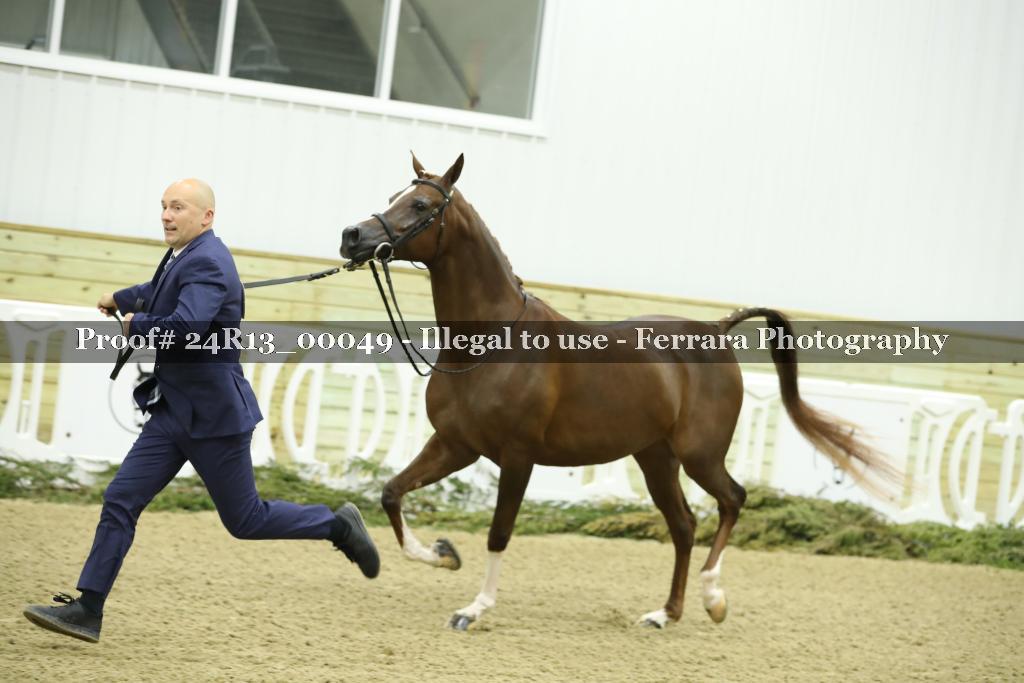Proof 24R13_00049