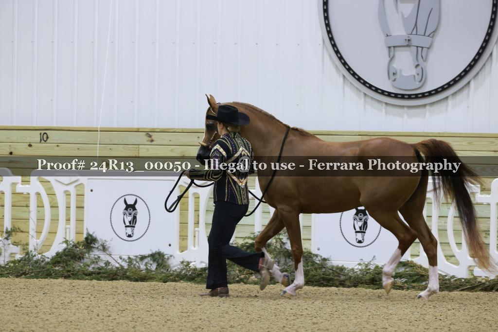 Proof 24R13_00050