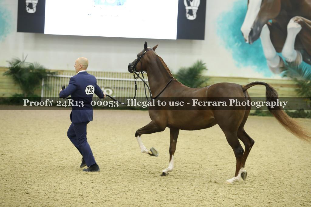 Proof 24R13_00053