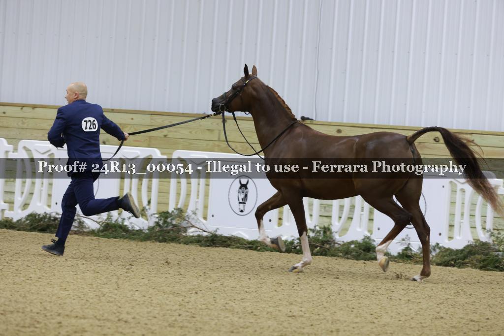 Proof 24R13_00054