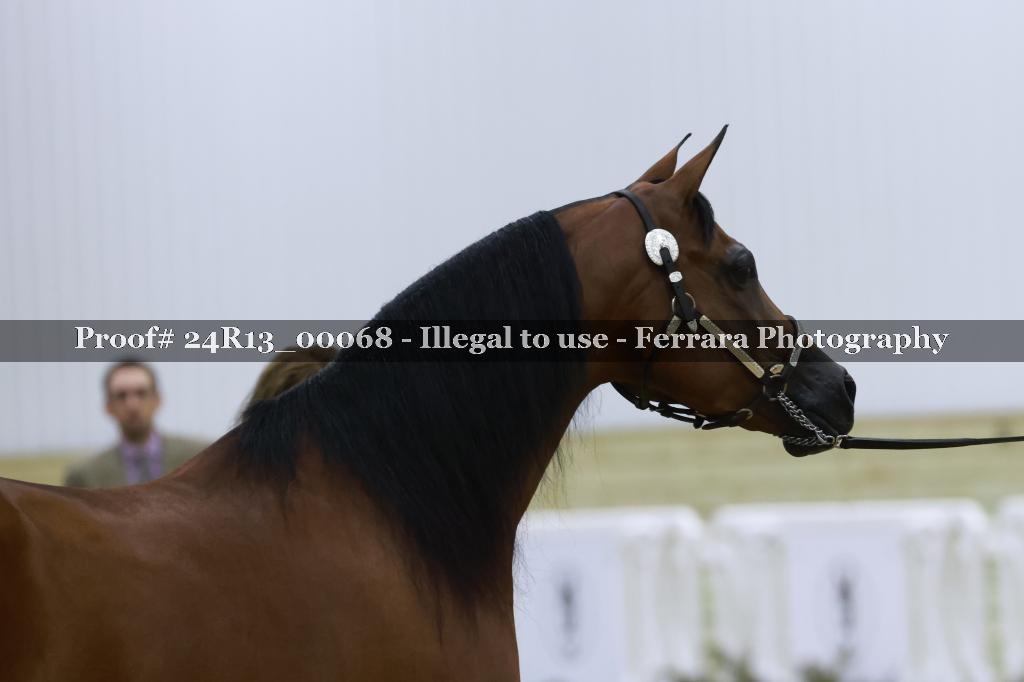 Proof 24R13_00068