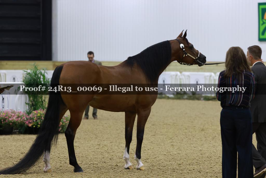 Proof 24R13_00069