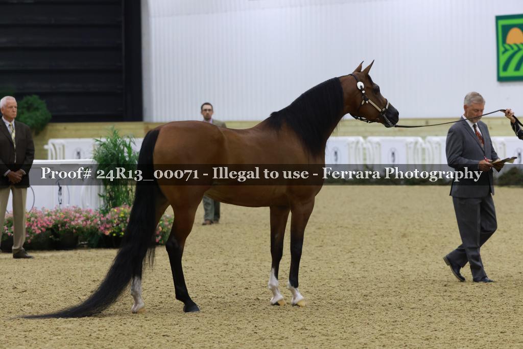 Proof 24R13_00071