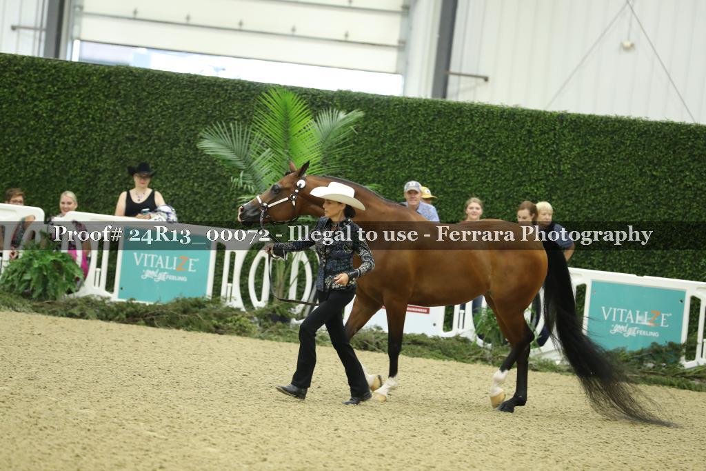 Proof 24R13_00072