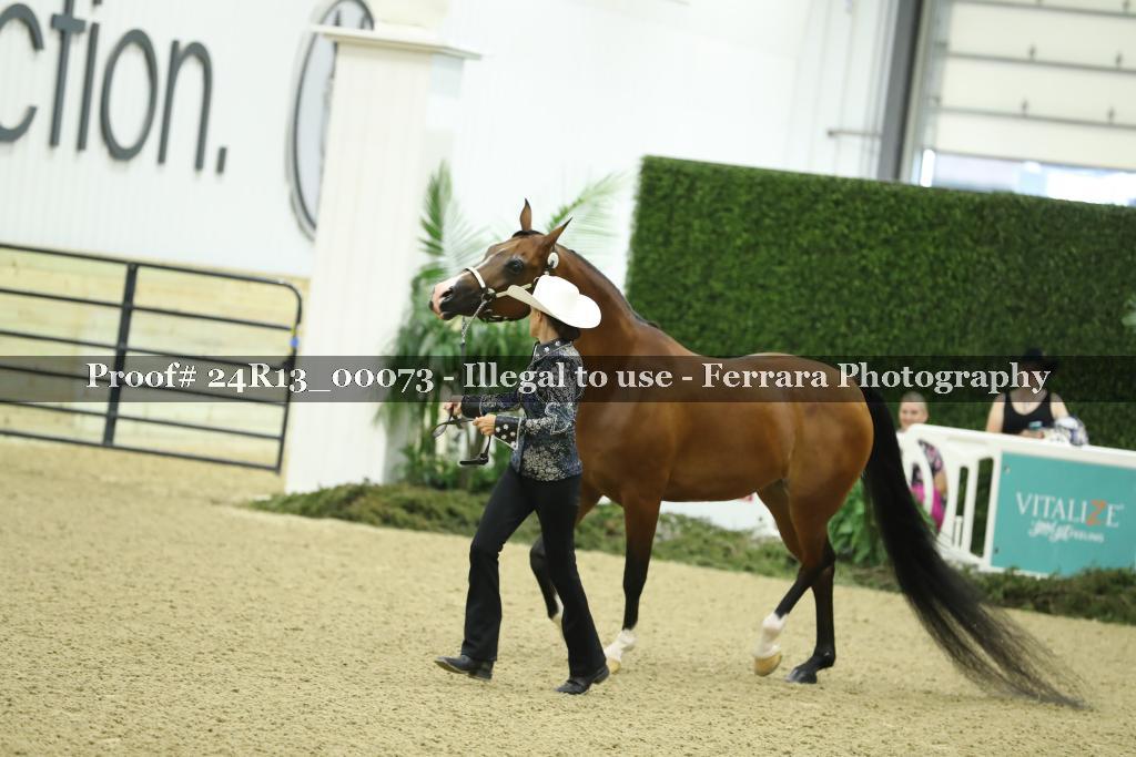 Proof 24R13_00073