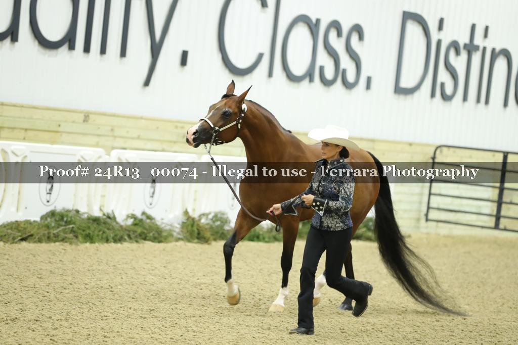 Proof 24R13_00074