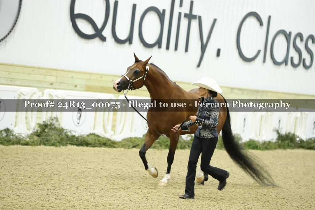Proof 24R13_00075
