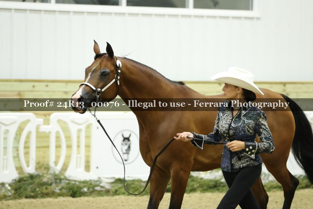 Proof 24R13_00076