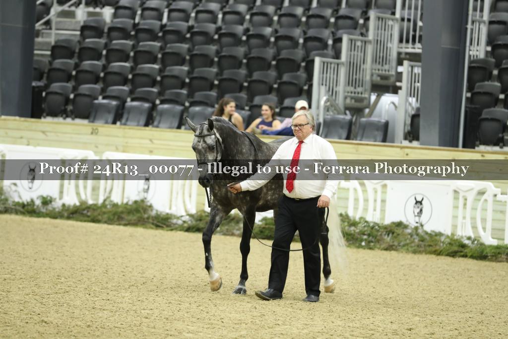 Proof 24R13_00077