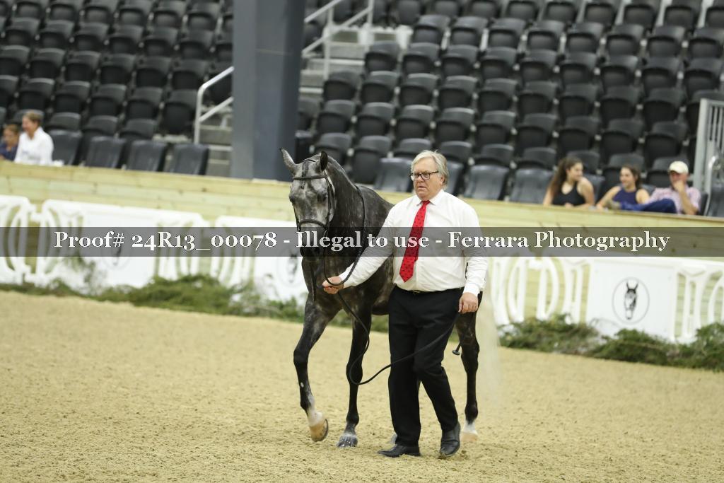 Proof 24R13_00078