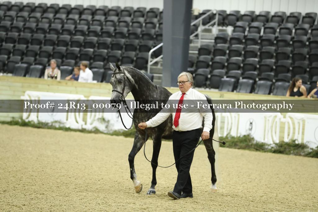 Proof 24R13_00079