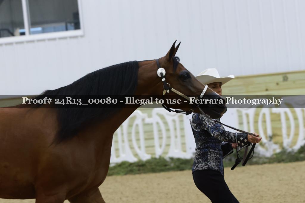 Proof 24R13_00080