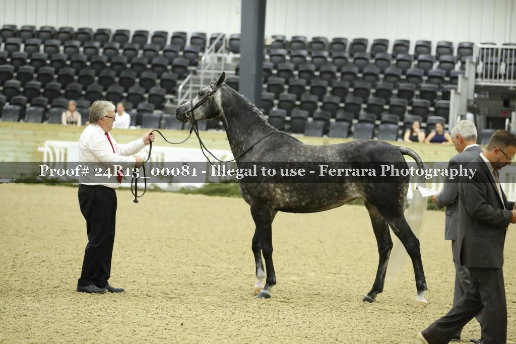 Proof 24R13_00081