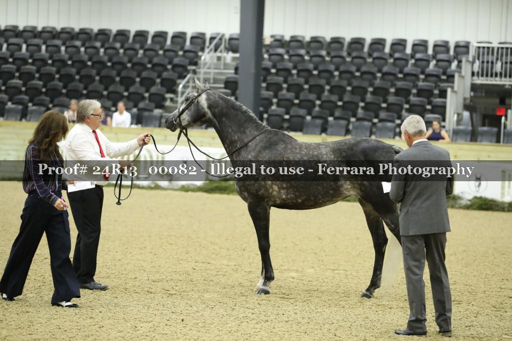 Proof 24R13_00082