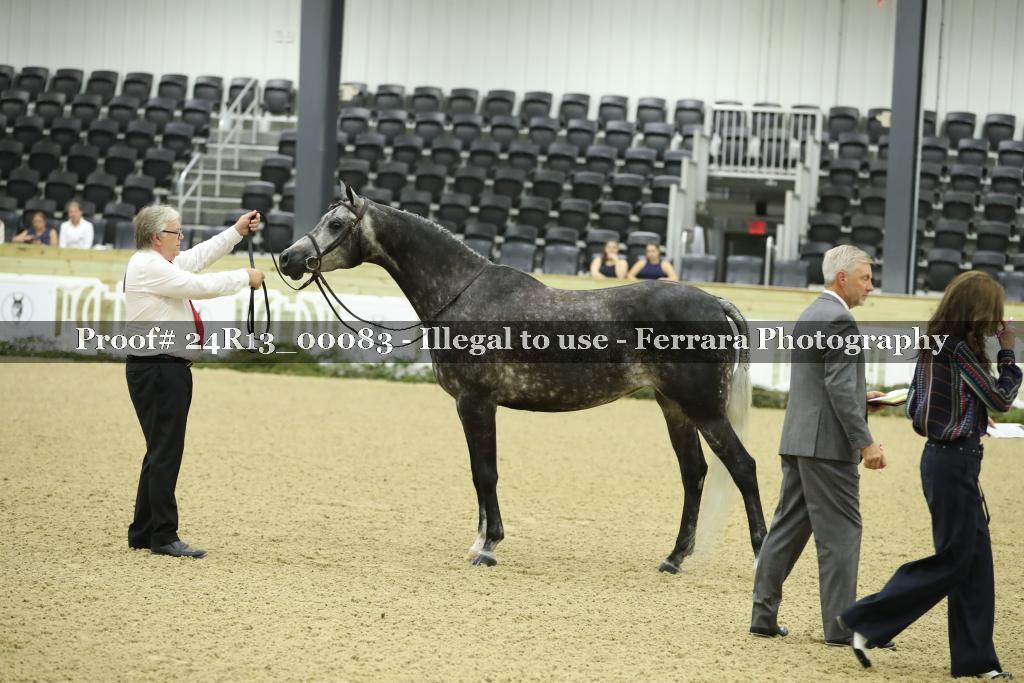 Proof 24R13_00083