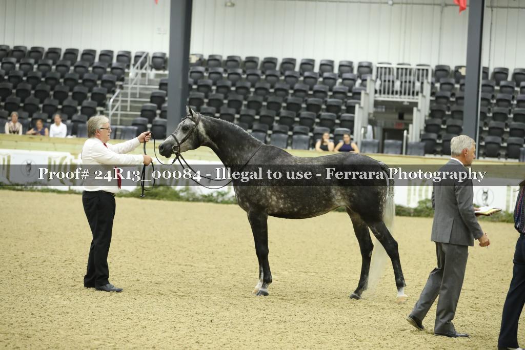 Proof 24R13_00084
