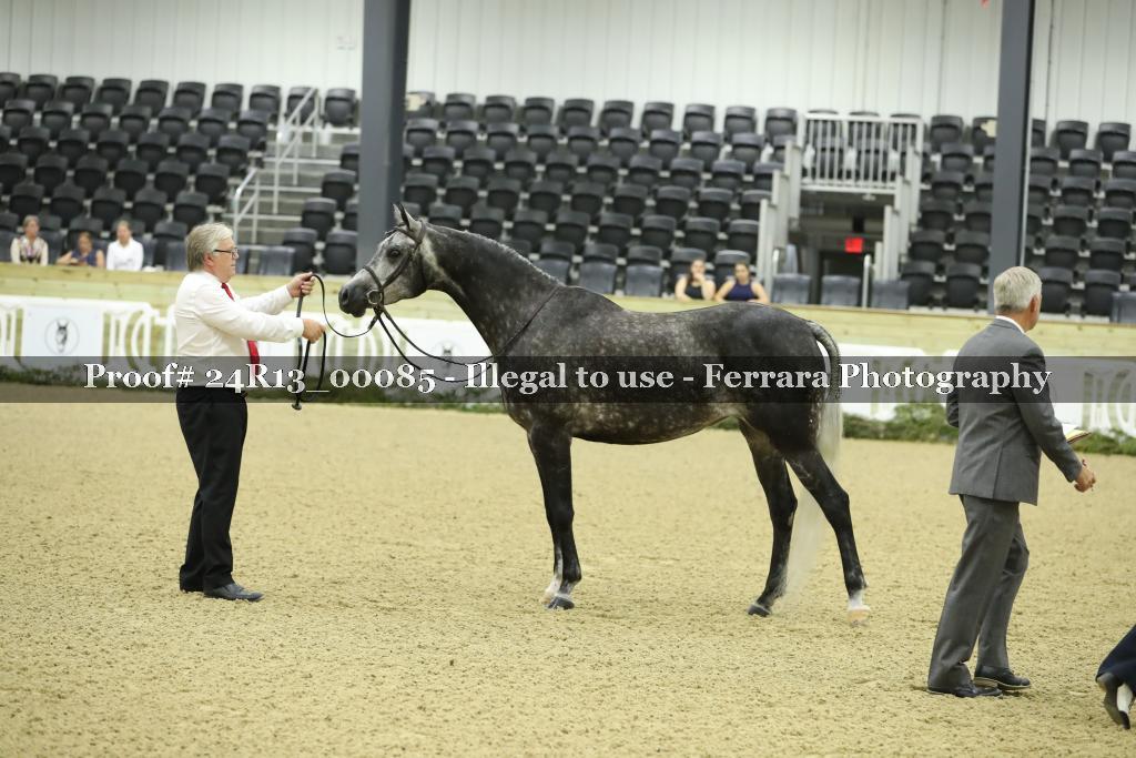 Proof 24R13_00085