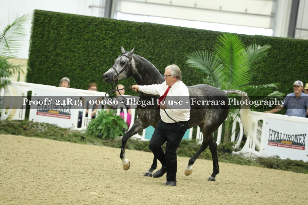 Proof 24R13_00086