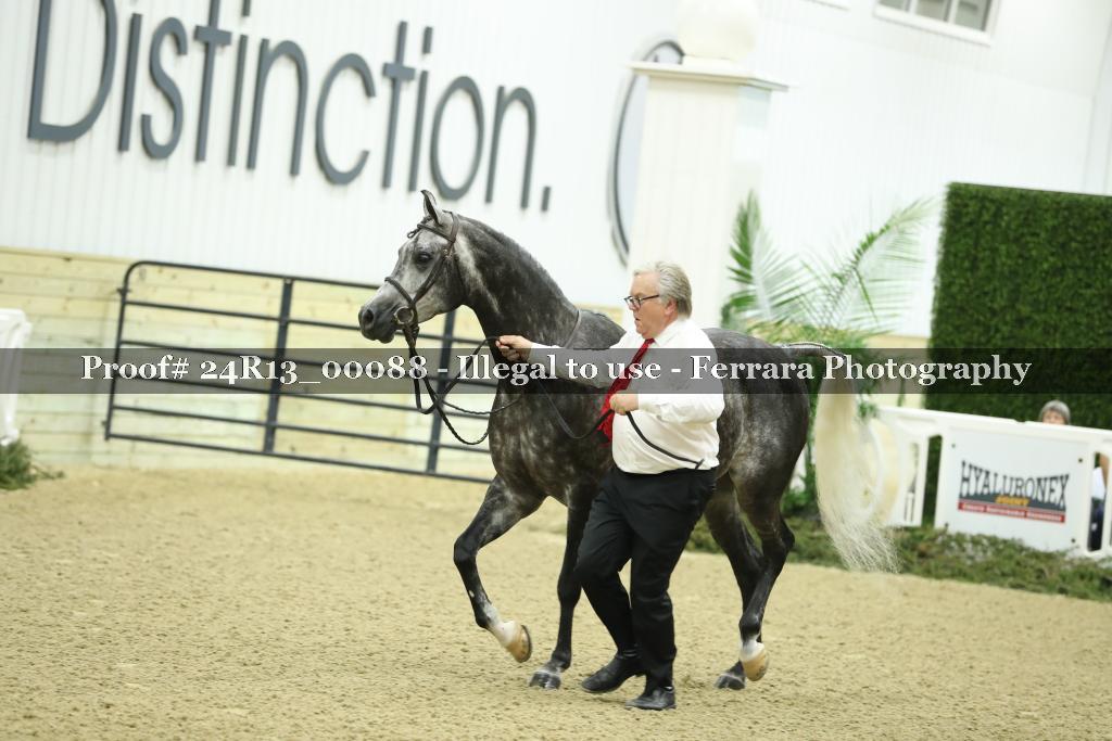 Proof 24R13_00088