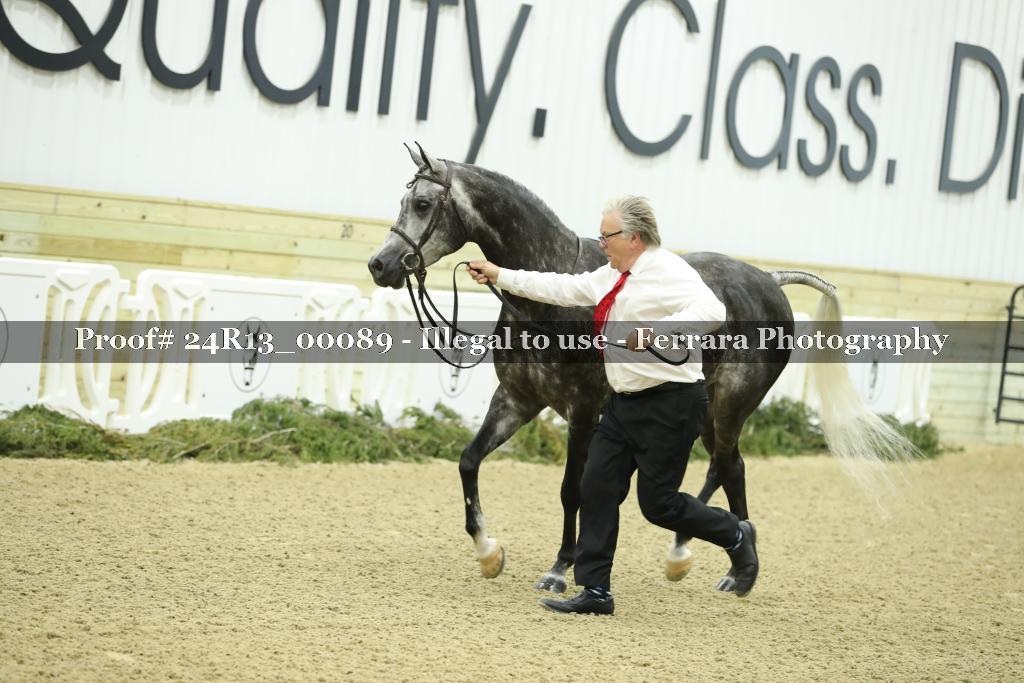 Proof 24R13_00089