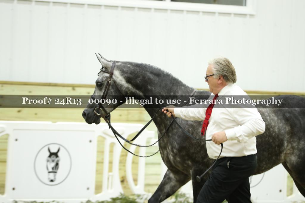 Proof 24R13_00090