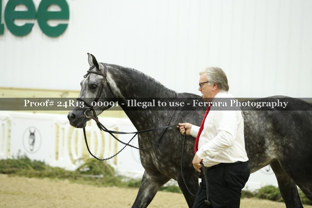 Proof 24R13_00091