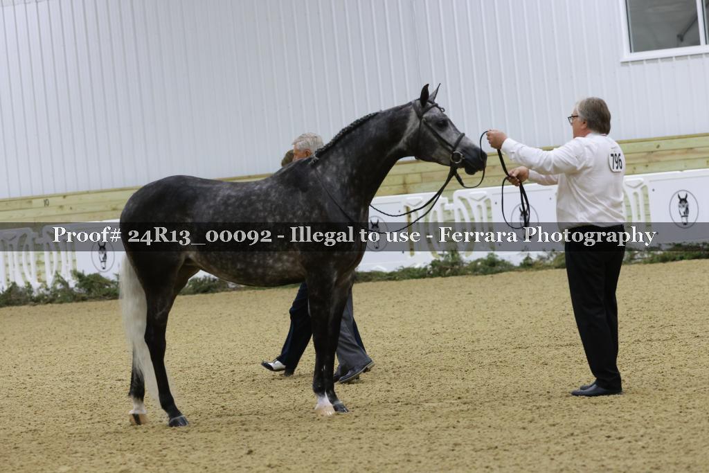 Proof 24R13_00092