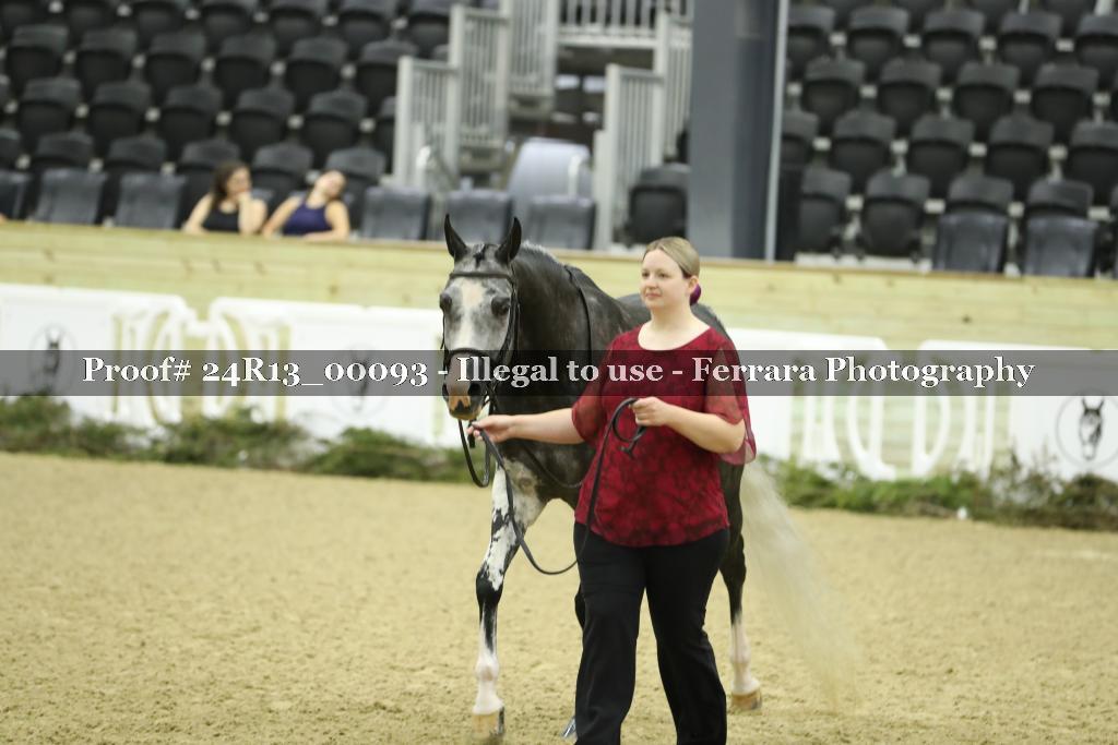 Proof 24R13_00093