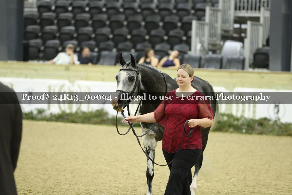 Proof 24R13_00094