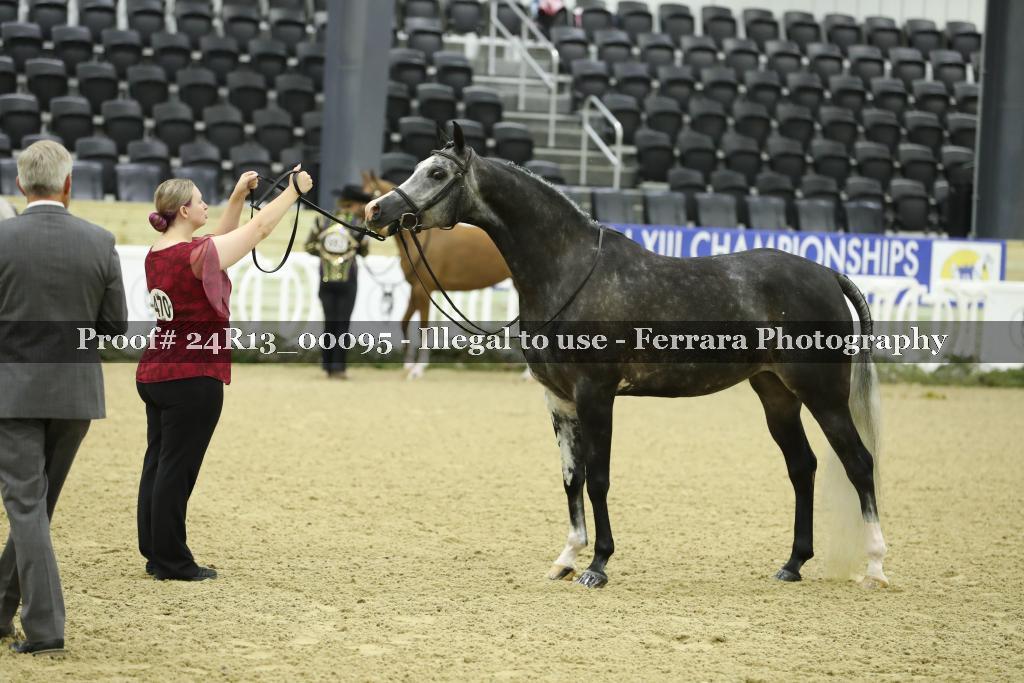 Proof 24R13_00095