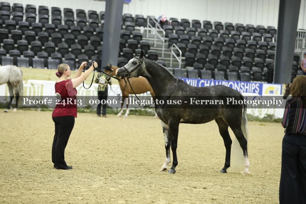 Proof 24R13_00096