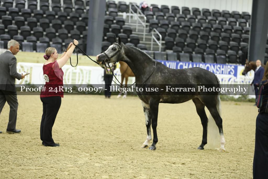 Proof 24R13_00097