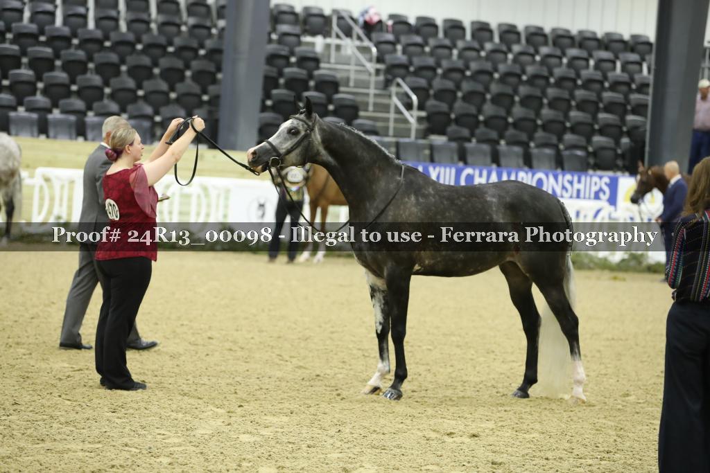 Proof 24R13_00098