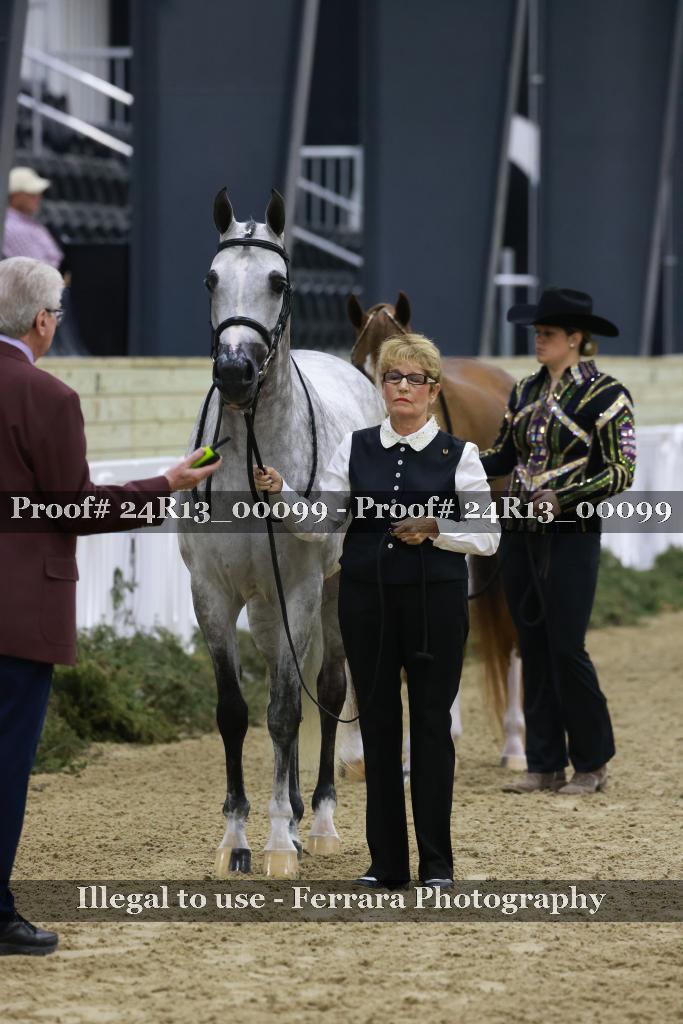 Proof 24R13_00099