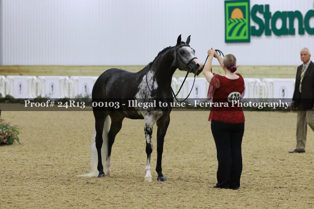 Proof 24R13_00103