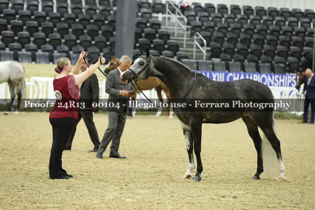 Proof 24R13_00104