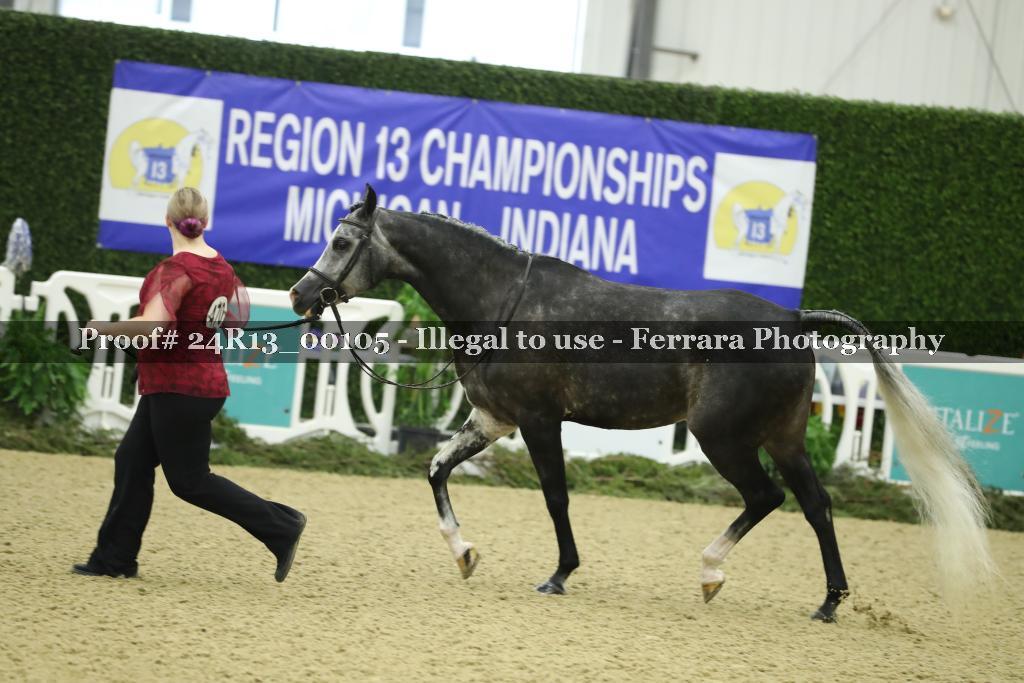 Proof 24R13_00105