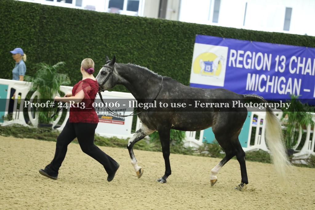 Proof 24R13_00106