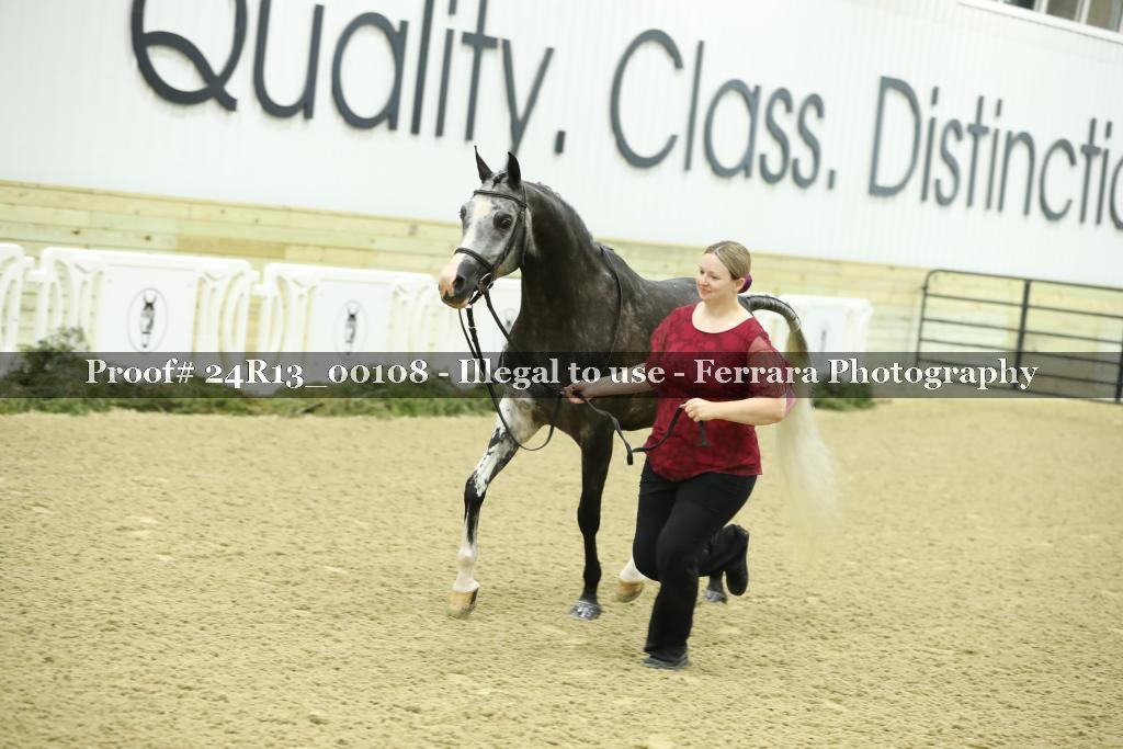 Proof 24R13_00108