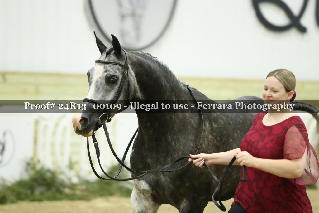 Proof 24R13_00109