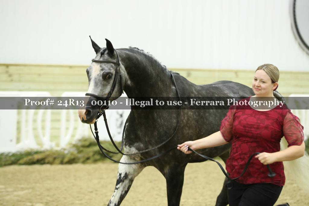 Proof 24R13_00110