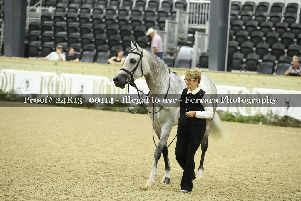 Proof 24R13_00114