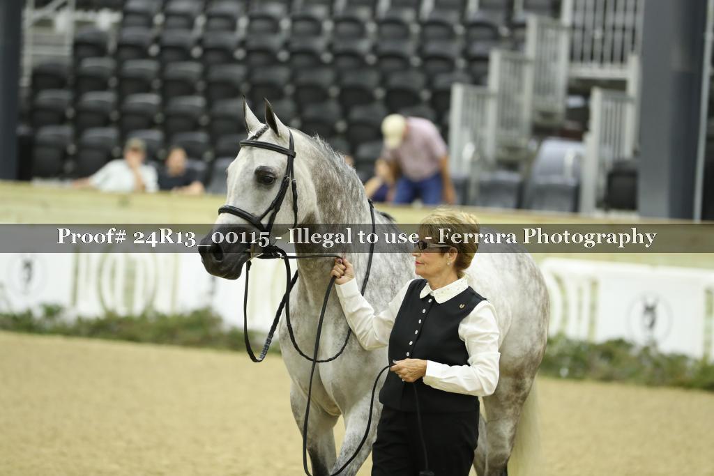 Proof 24R13_00115