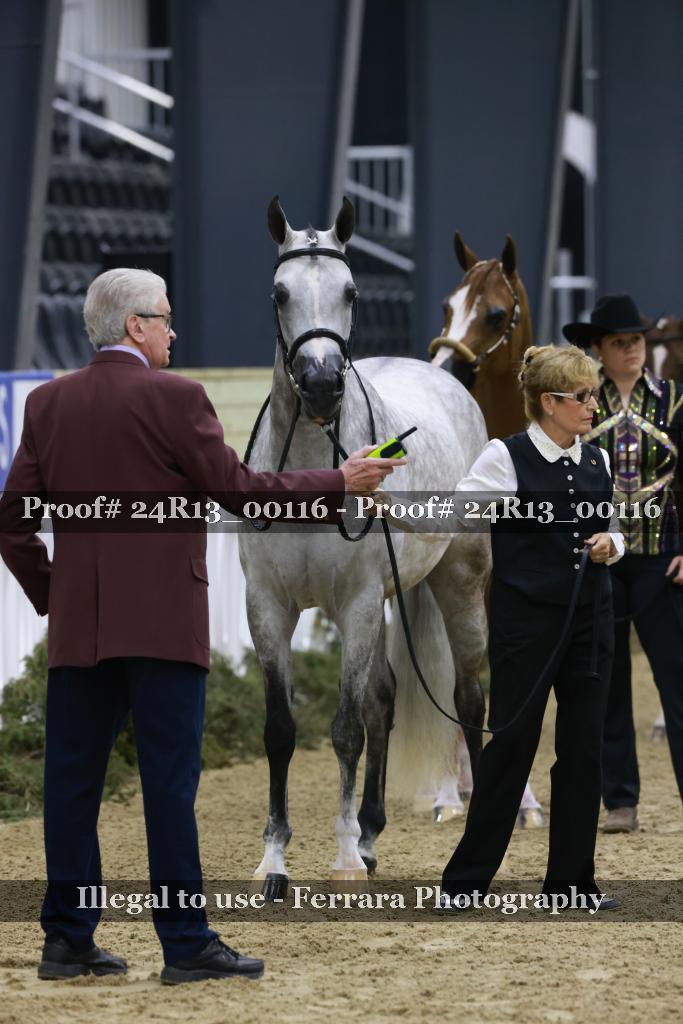 Proof 24R13_00116
