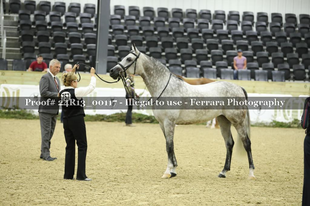 Proof 24R13_00117